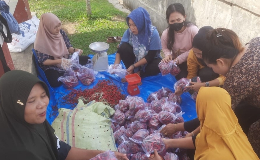 Harga Cabai Makin Menggigit, Pemkab Lebong Dirikan Pondok Cabe Murah Kopli Desk