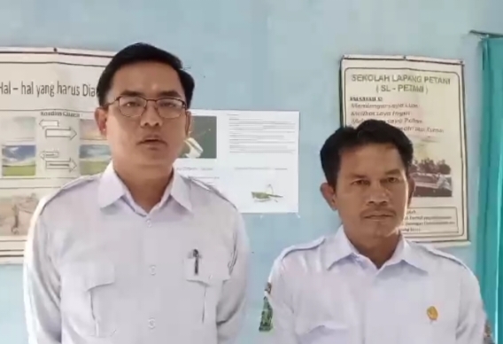 Kementan Dukung Program Bupati Lebong Tingkatkan Indeks Pertanaman