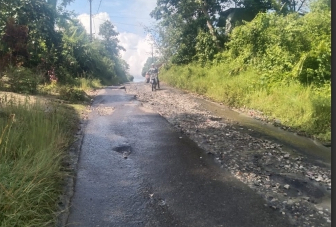 Waka I DPRD Harap Pemprov  Segera Perbaiki Jalan Provinsi di Lebong