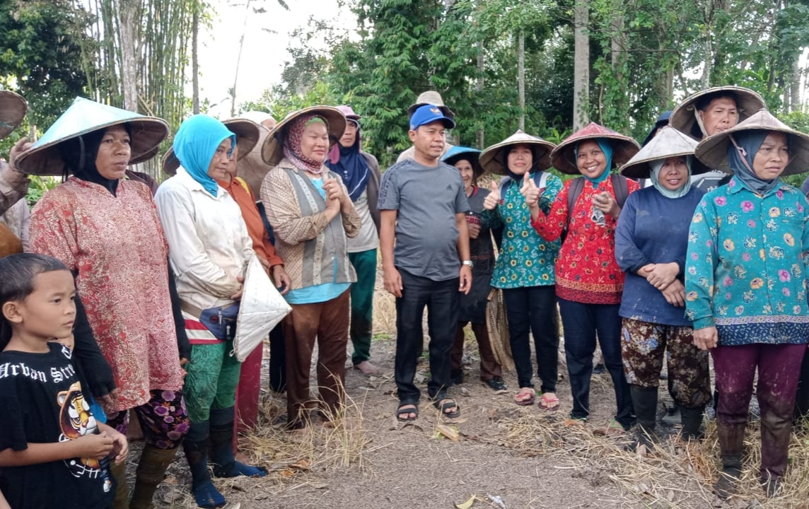 Bupati Pantau Petani Lakukan Pengolahan Lahan Sawah