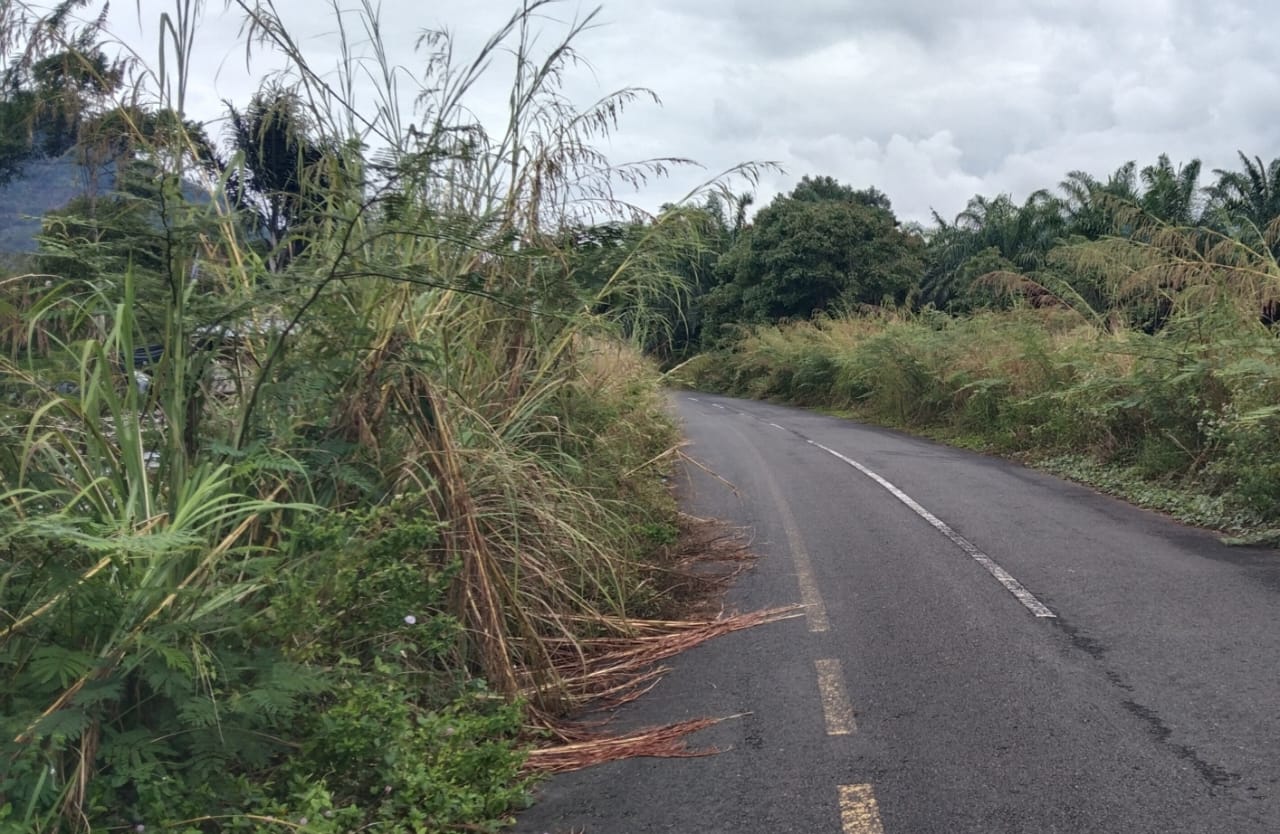 Laksanakan Perawatan Rutin Jalan, Kabid BM Harapkan Anggaran Ditambah