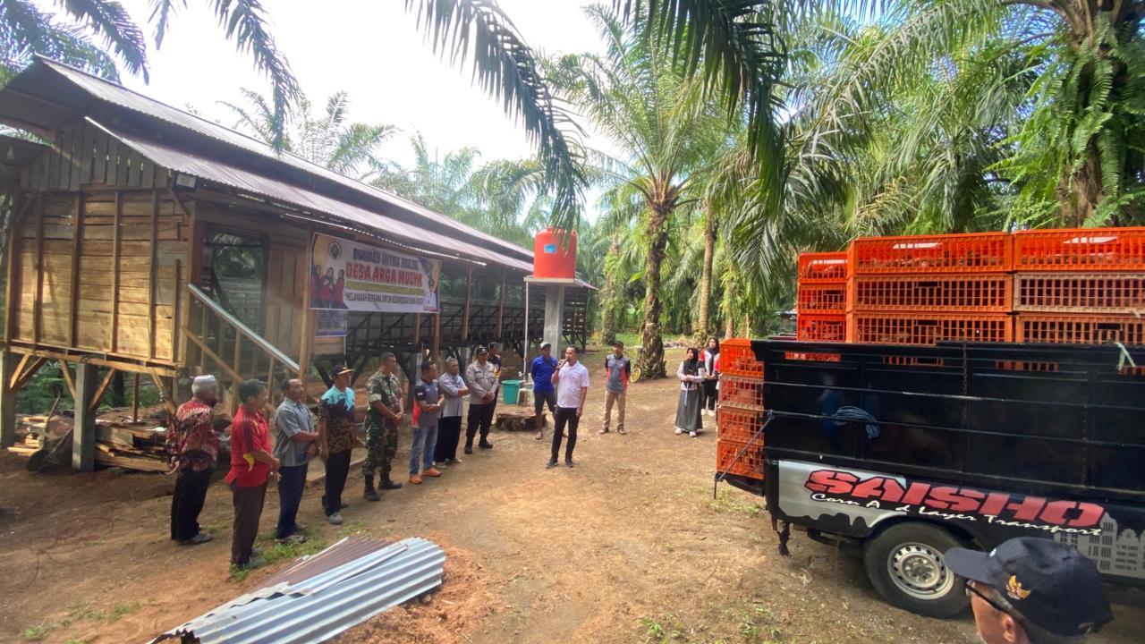 Wujudkan Kemandirian, Kembangkan Peternakan Ayam Petelur di Desa Arga Mulya