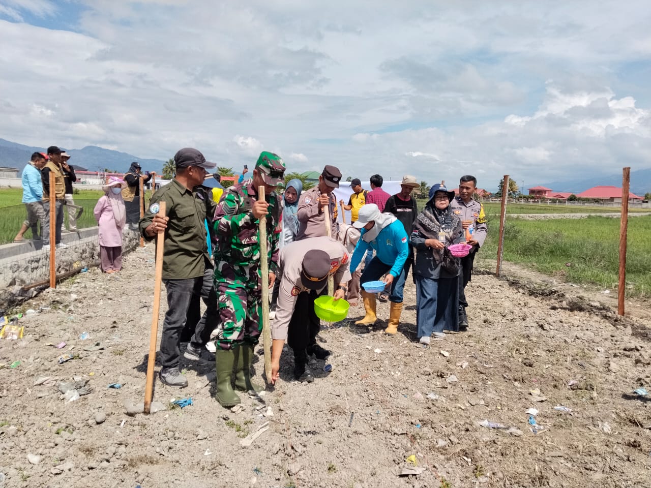 Penanaman Jagung Serentak, Program Ketahanan Pangan Desa Angkasa Pura Tahun 2025  Progresif lines, Com -KERINCI – Pemerintah Desa Angkasa Pura, Kecamatan Sitinjau Laut, Kabupaten Kerinci,bersama para pemangku kepentingan melaksanakan kegiatan penanaman jagung sebagai bagian dari program Ketahanan Pangan Nasional. Kegiatan ini berlangsung di lahan pertanian Desa Angkasa Pura,dengan melibatkan berbagai unsur terkait.Jum'at (17/10/25)  Kegiatan acara penanaman jagung ini dihadiri oleh, Polsek Sitinjau Laut, Babinsa Sitinjau Laut,Camat Sitinjau Laut, Pendamping dari Pertanian dan pendamping desa beserta seluruh perangkat desa angkasa pura.  Kepala Desa Angkasa Pura, Bapak  Dasrinal,Menyampaikan bahwa penanaman jagung ini merupakan langkah nyata desa dalam mendukung Instruksi Presiden Nomor 10 Tahun 2025 Tentang Percepatan Swasembada Jagung di Indonesia.   “Jagung merupakan komoditas strategis yang tidak hanya mendukung kebutuhan pangan, tetapi juga meningkatkan perekonomian masyarakat desa. Melalui program ketahanan pangan ini, kita ingin masyarakat lebih mandiri dan berdaya dalam mengelola potensi pertanian,” ujarnya.  Sementara itu, pihak kecamatan dan aparat keamanan (Kapolsek dan Babinsa) menyatakan dukungan penuh, baik dalam aspek pendampingan maupun pengamanan kegiatan.  Melalui program ini, Desa Angkasa Pura diharapkan mampu menjadi salah satu desa percontohan dalam pengembangan ketahanan pangan, sekaligus memperkuat sinergi antar-stakeholder dalam mewujudkan kemandirian dan kesejahteraan masyarakat.(Stn).